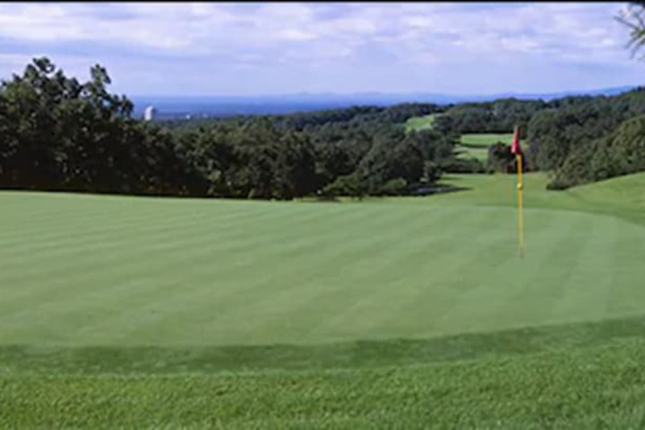 Golf 19 of 29