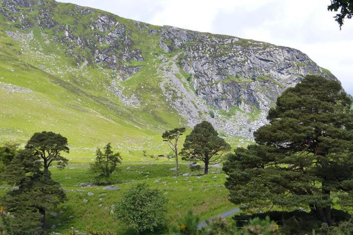 General 4 of 23