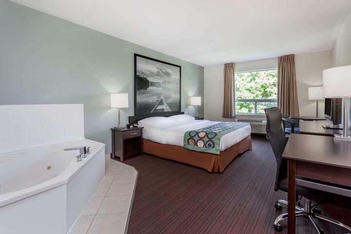 1 King Bed Mobility Accessible (6 of 34)
