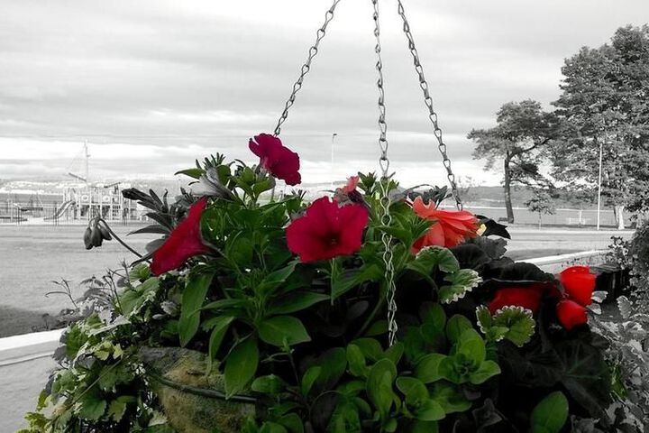Photo 13