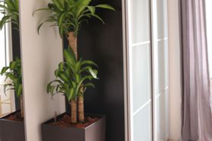 Room 49 of 52