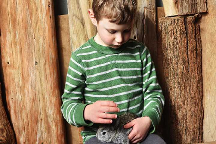 Childrens Activities 15 of 22