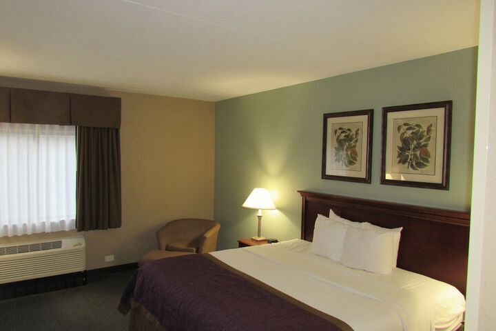 Deluxe King Bed (8 of 39)