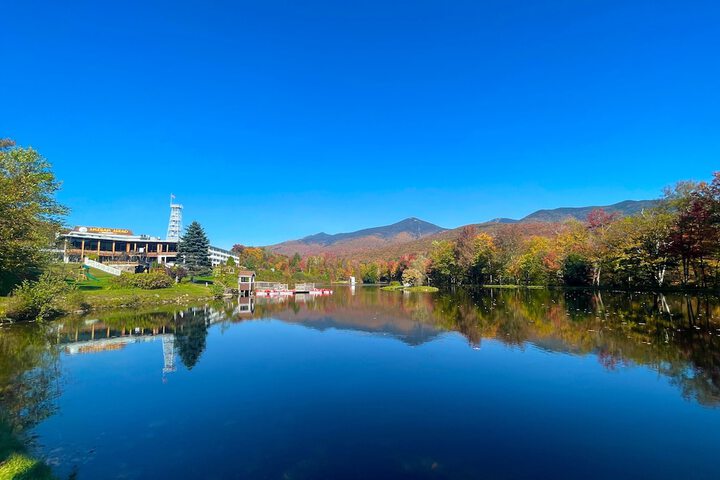 Property Grounds 18 of 20