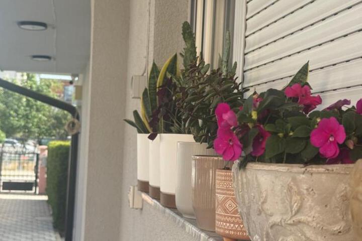 General 20 of 48