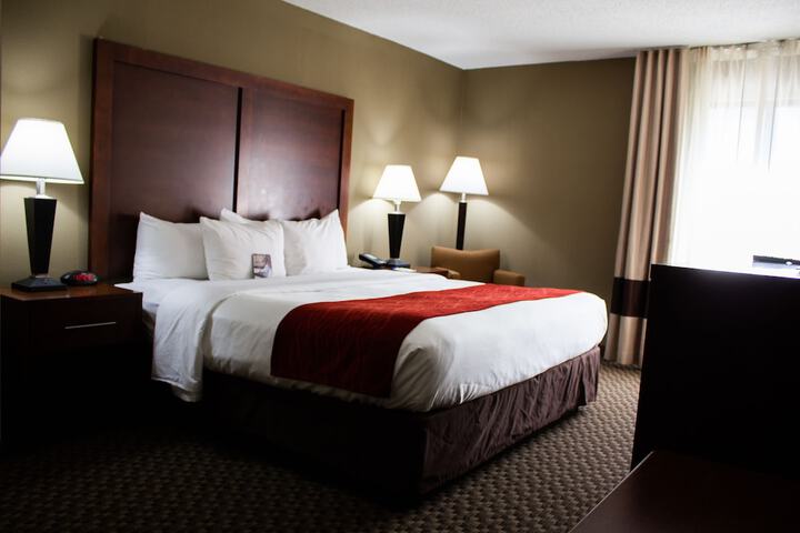 1 King Bed (6 of 15)