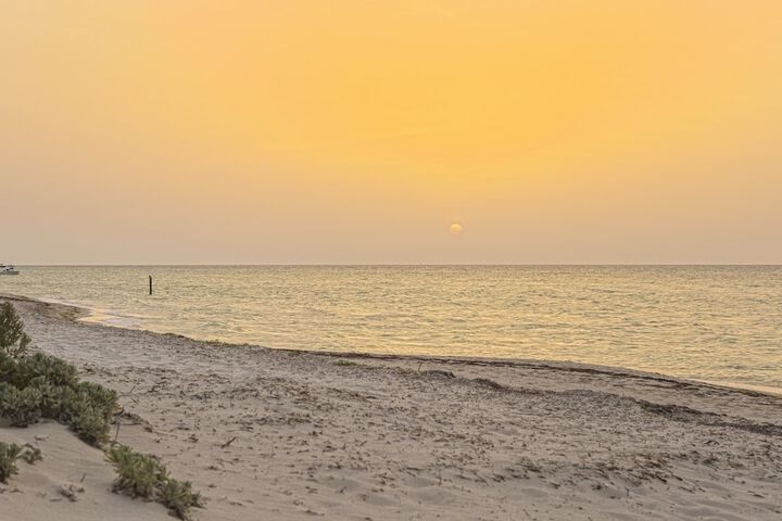Beach 77 of 99