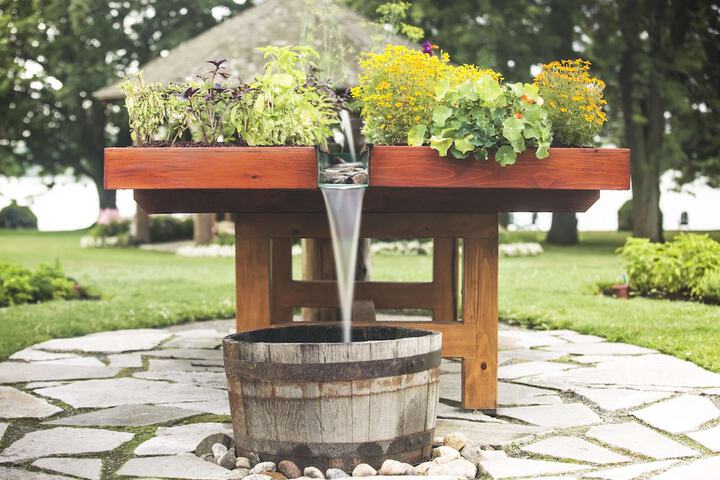 Garden