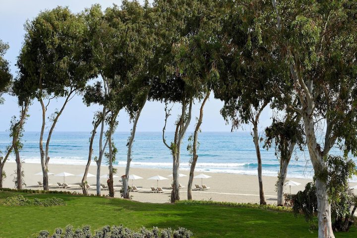 Beach 499 of 578