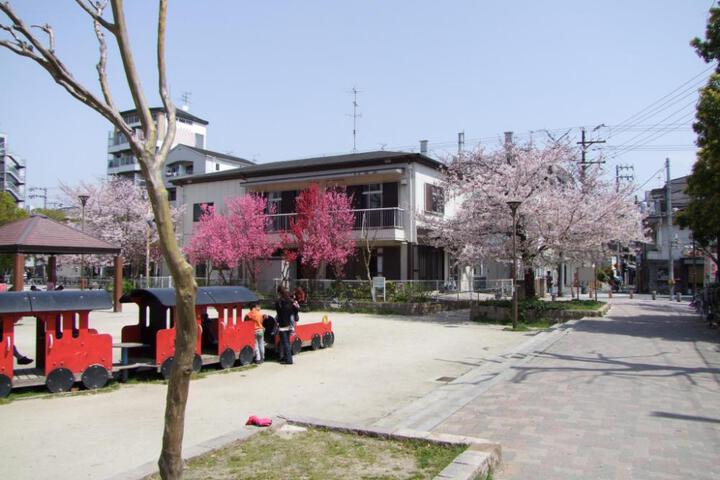 Photo 15