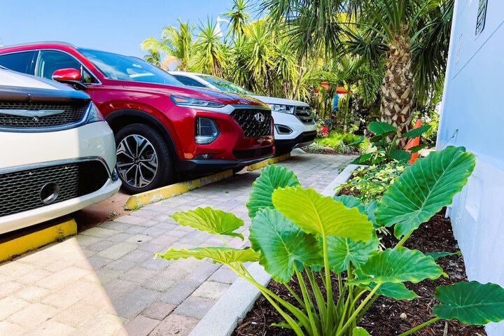 Property Grounds 97 of 108