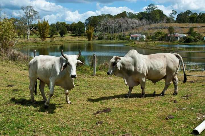 Property Grounds 16 of 29