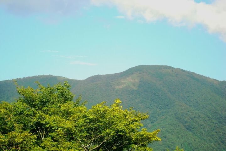 Mountain view