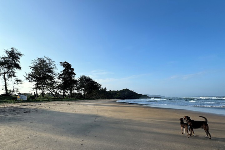 Beach 57 of 60