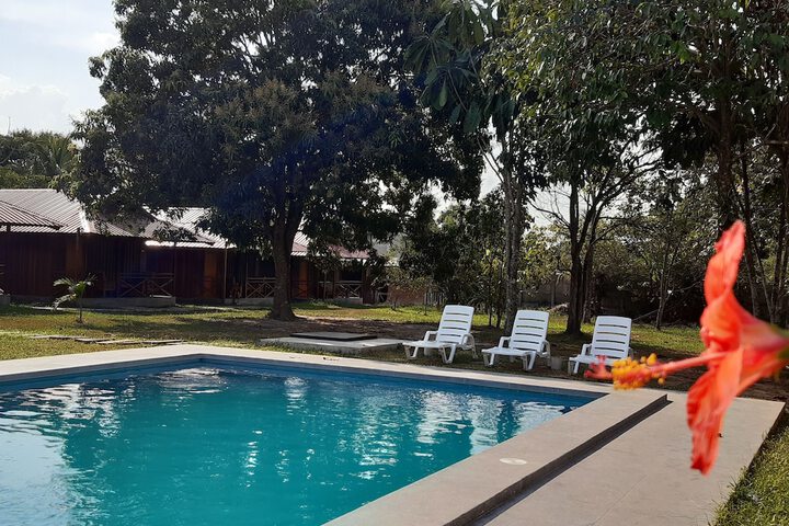 Pool 21 of 44