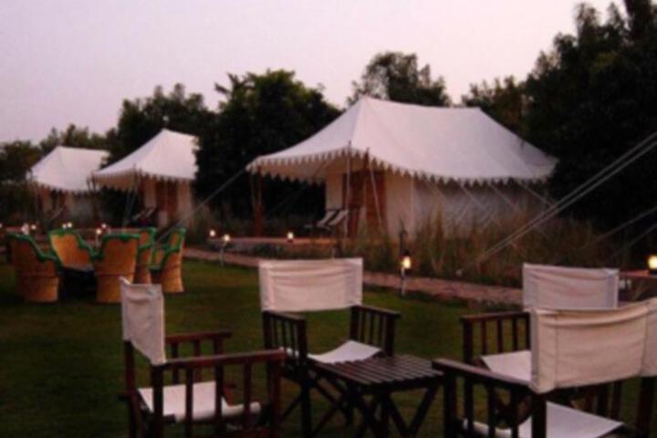 The Jungle Camp Ranthambore