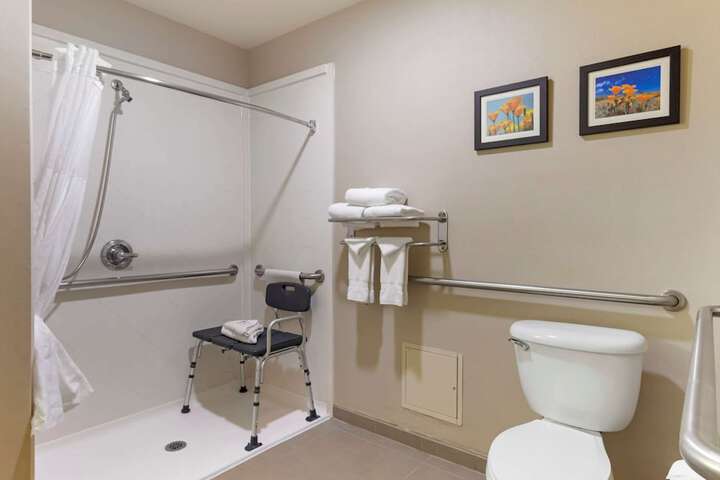 1 King Bed Suite (14 of 16)