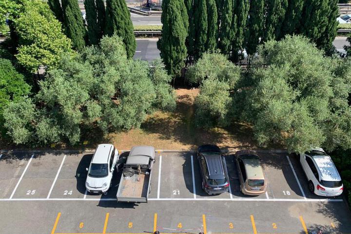 Spa and Wellness Pictures