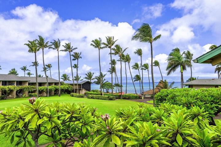 Napili Shores B214 Studio Bedroom 1 Bathroom Condo in Lahaina, HI
