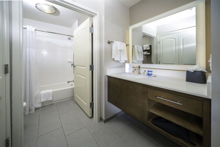 1 King Studio Suite Mobility Accessible Tub (21 of 28)