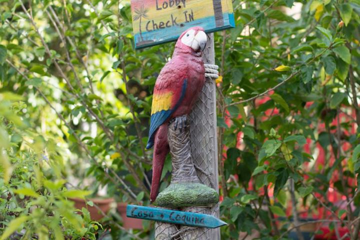 Hotel Exterior 90 of 104