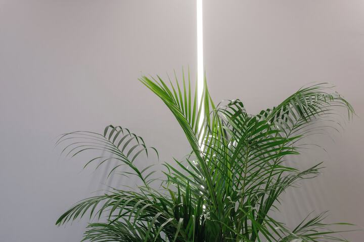 Room 2 of 25