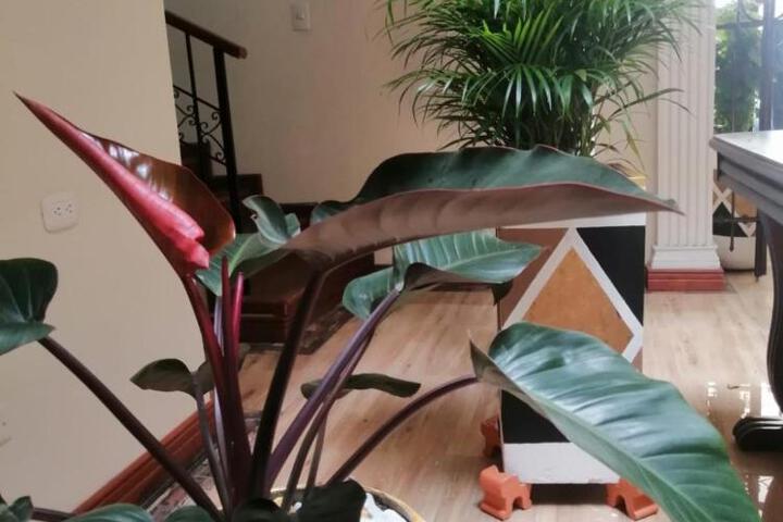 General 14 of 18