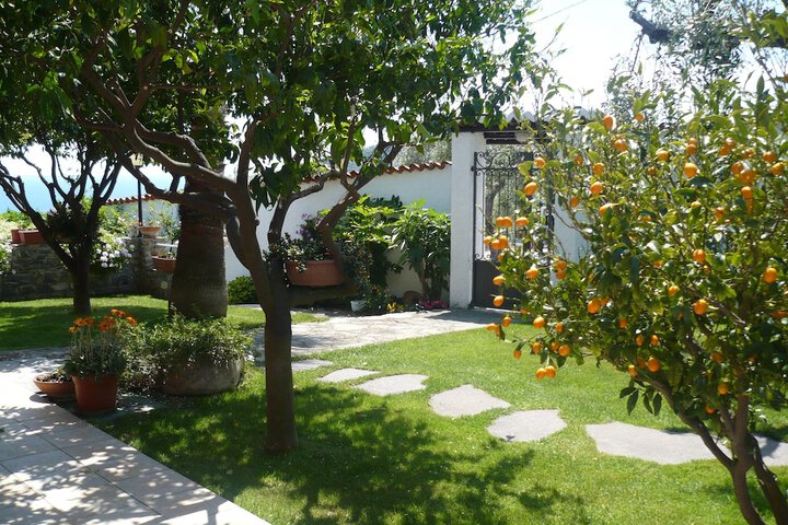 Azienda Agrituristica Villa Arianna