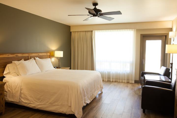 Room 4 of 55