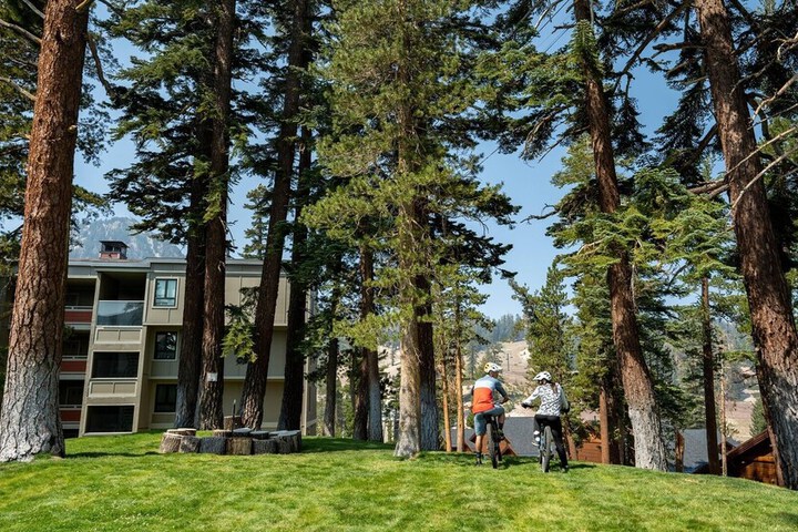 Property Grounds 48 of 54