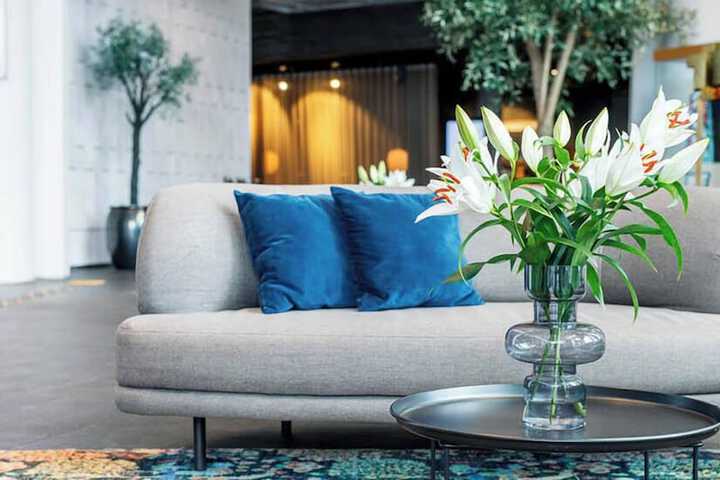 Entrance & Lobby