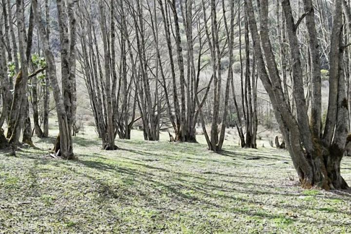 Property Grounds 10 of 23