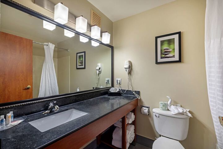 1 King Bed Suite (12 of 44)