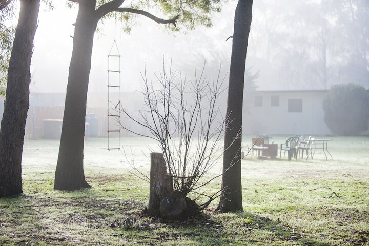 Property Grounds 49 of 53