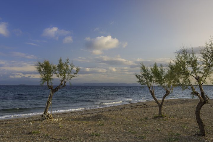 Beach 94 of 109