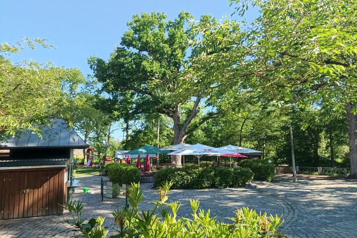Breakfast/Coffee Service 21 of 39