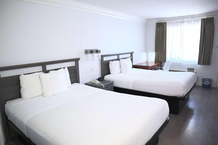2 Queen Beds (1 of 13)