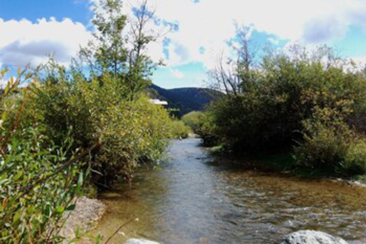 Property Grounds 3 of 10