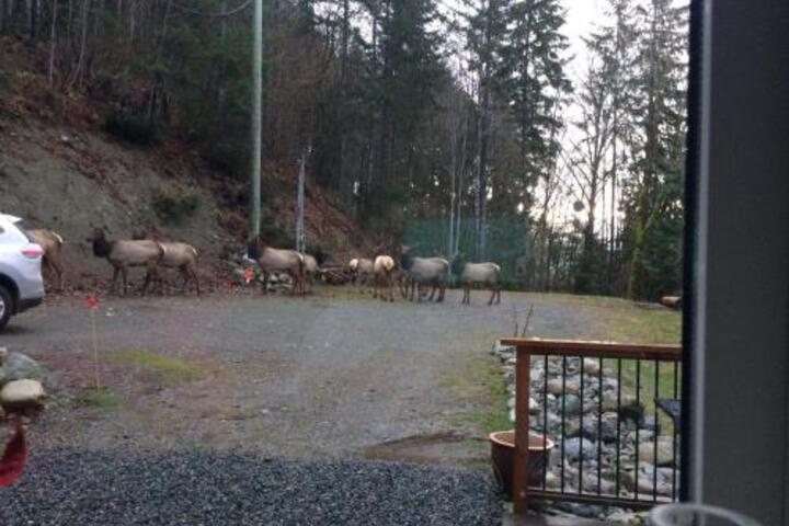 General 2 of 19