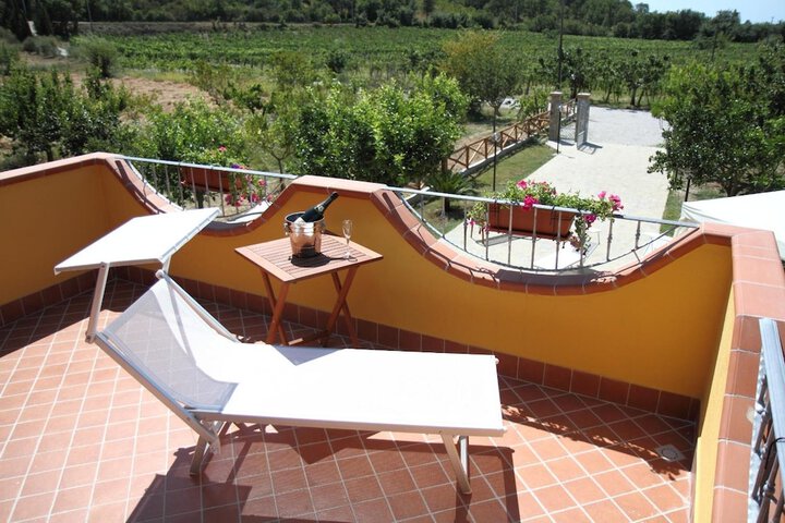 Terrace/Patio 13 of 58