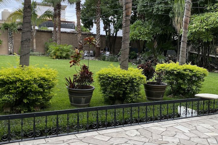 Garden view