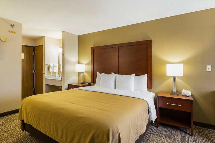 Standard with 1 King Bed (2 of 14)