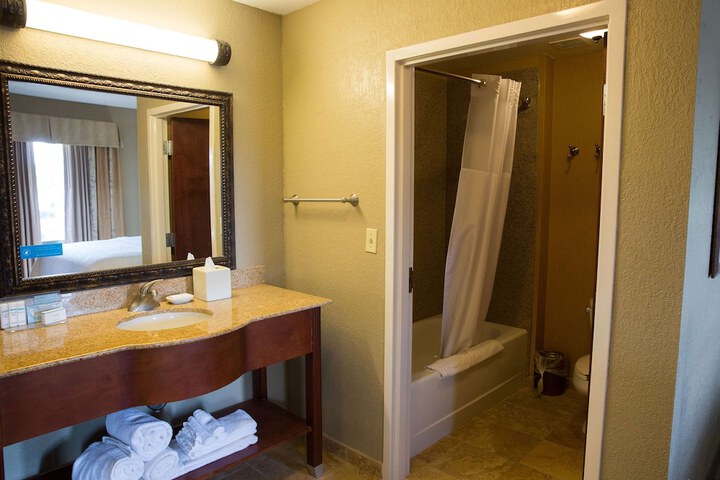 1 King Walk in Shower Only Hearing Accessible (15 of 18)