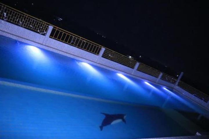 Pool 26 of 38