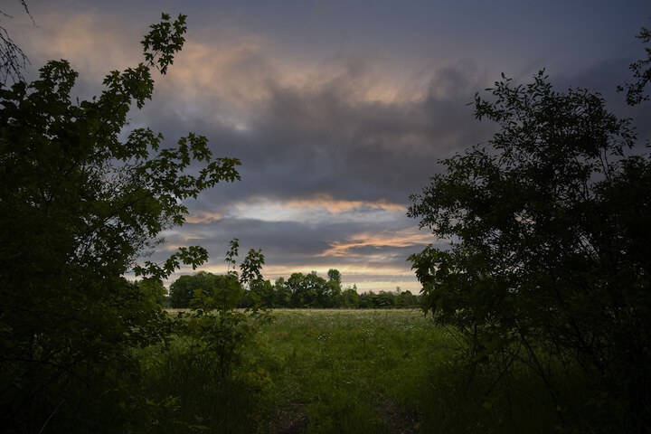 Property Grounds 25 of 36