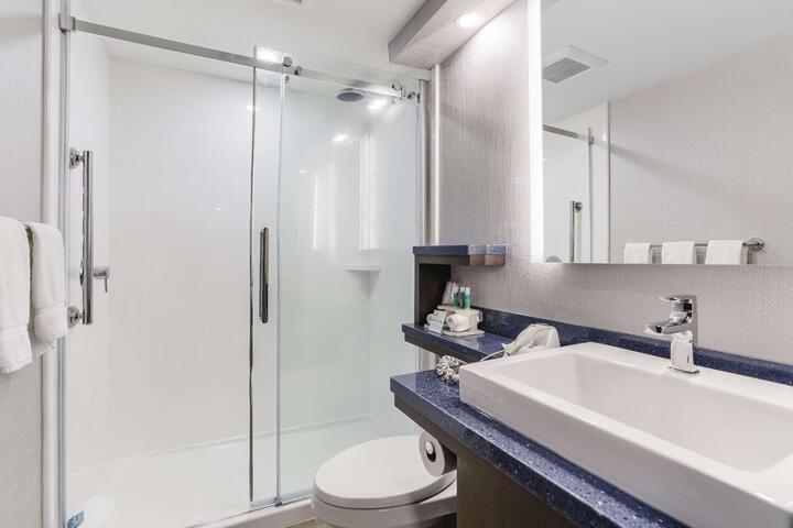 Suite 1 King Bed Sofa Bed Kitchenette Microwave and Refrigerator Keurig Coffee Maker Walk in Shower Full Breakfast (20 of 20)