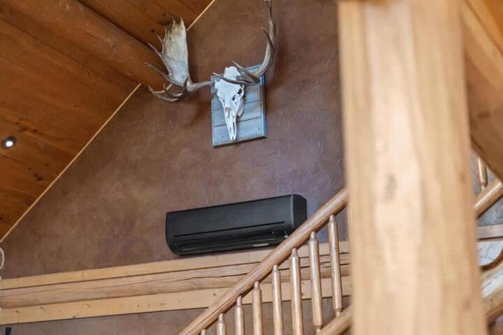 General 11 of 83