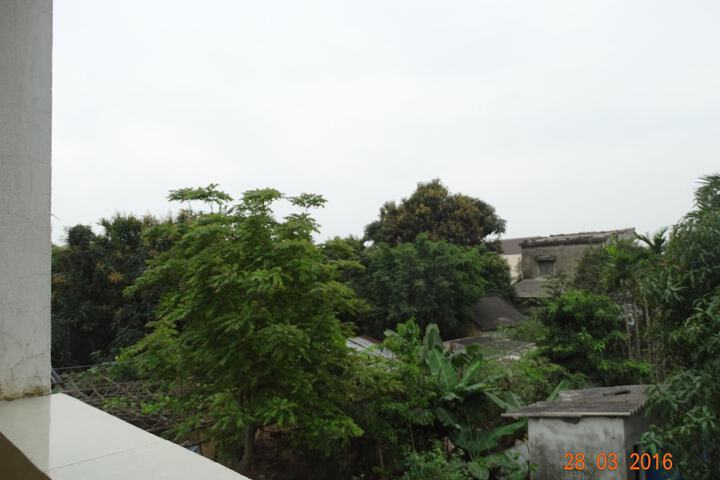 View from room