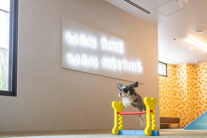 Pet Friendly 35 of 53