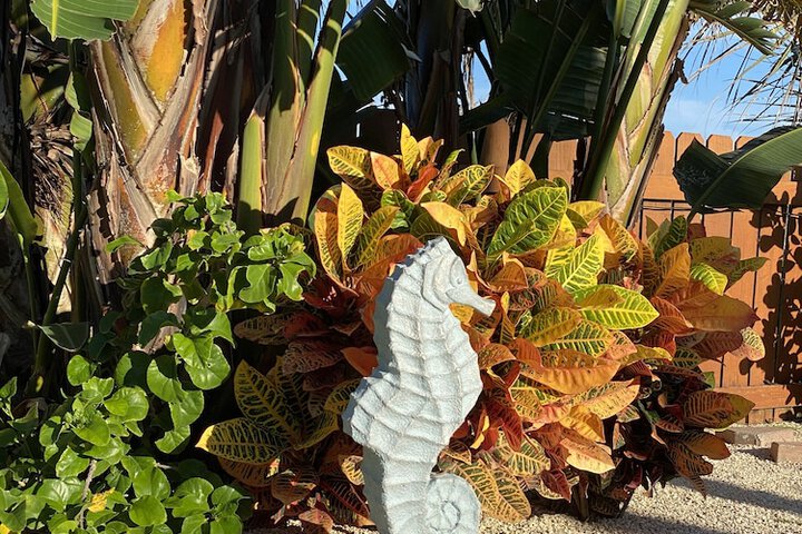 Hotel Exterior 115 of 138